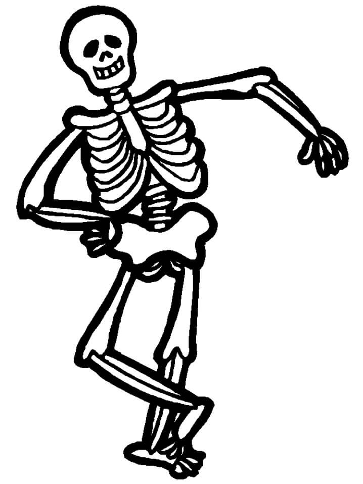 Esqueleto de Dibujo