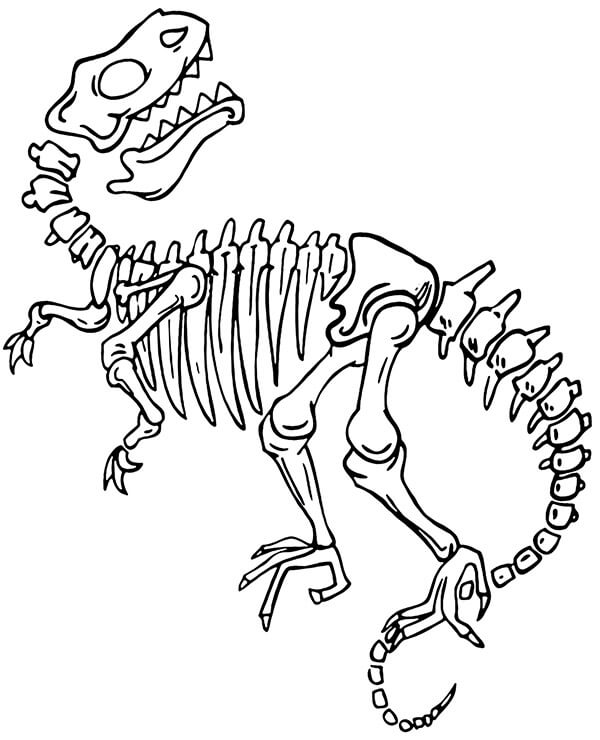 Esqueleto de Dinosaurio