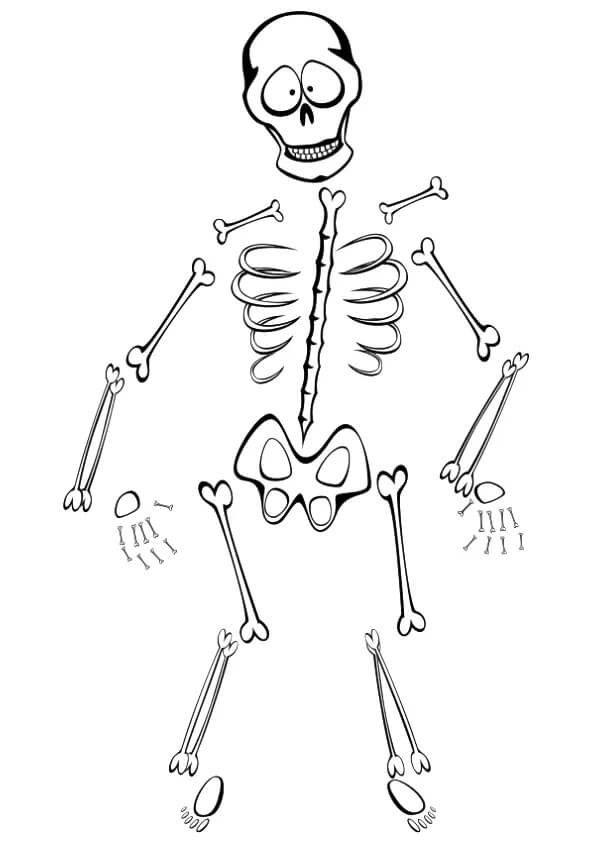 Esqueleto Imprimible