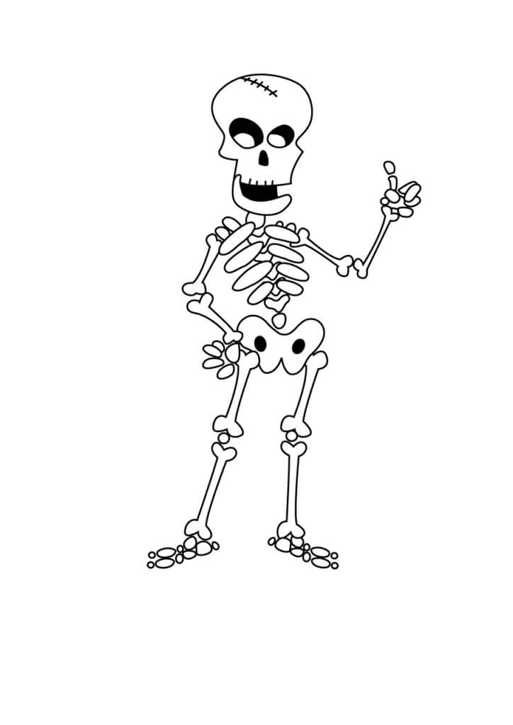 Esqueleto Sencillo