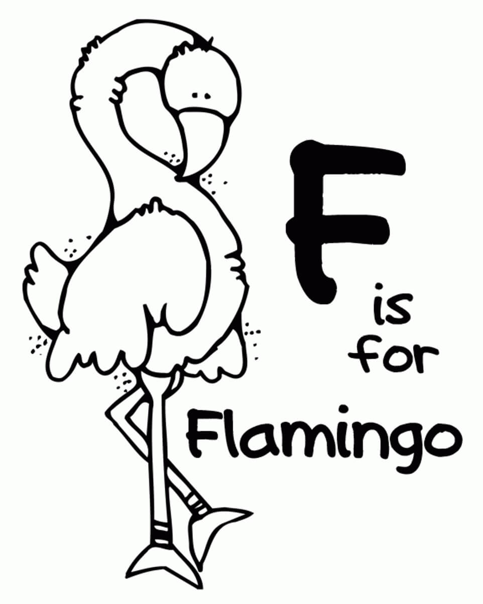 F de Flamingo
