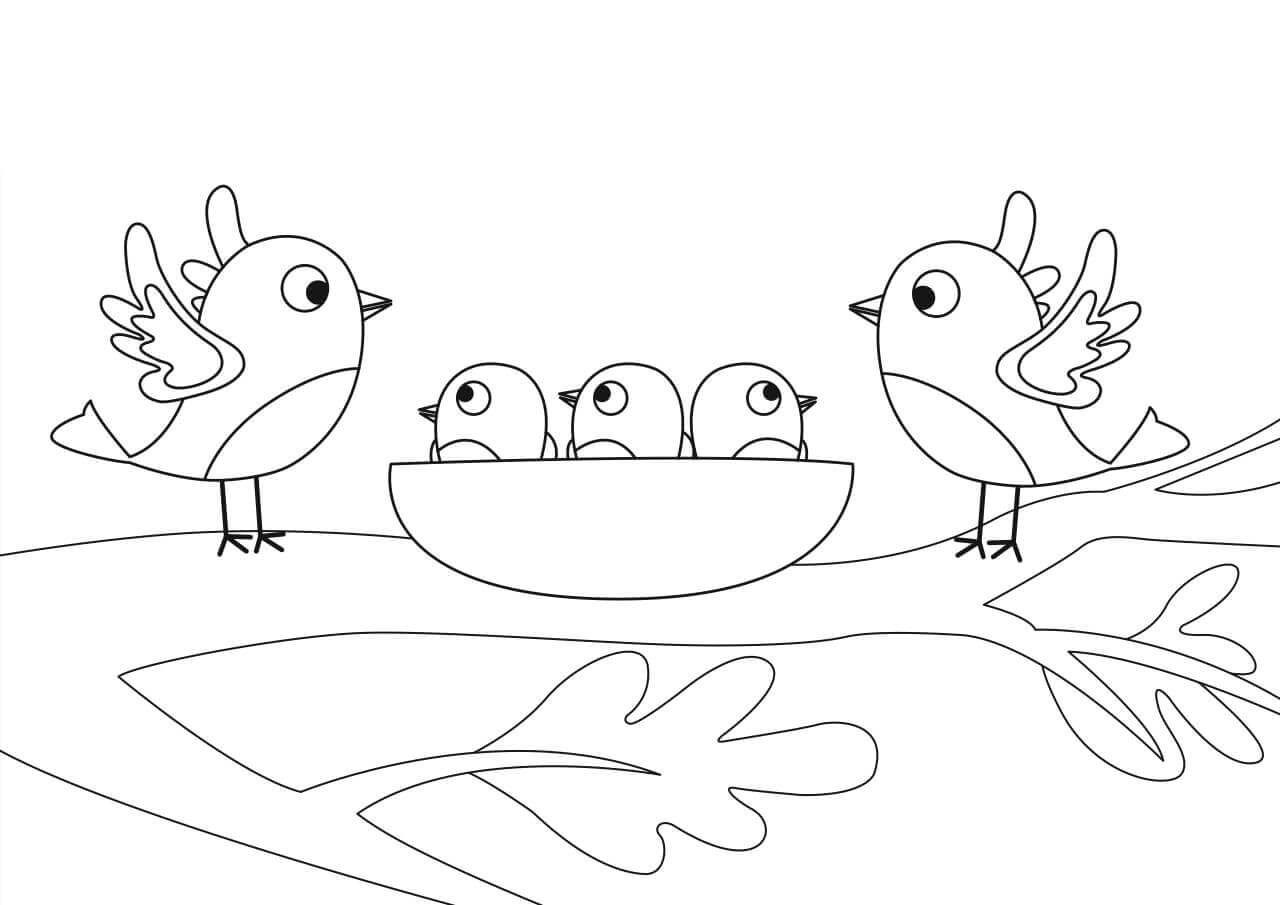 Familia de Aves