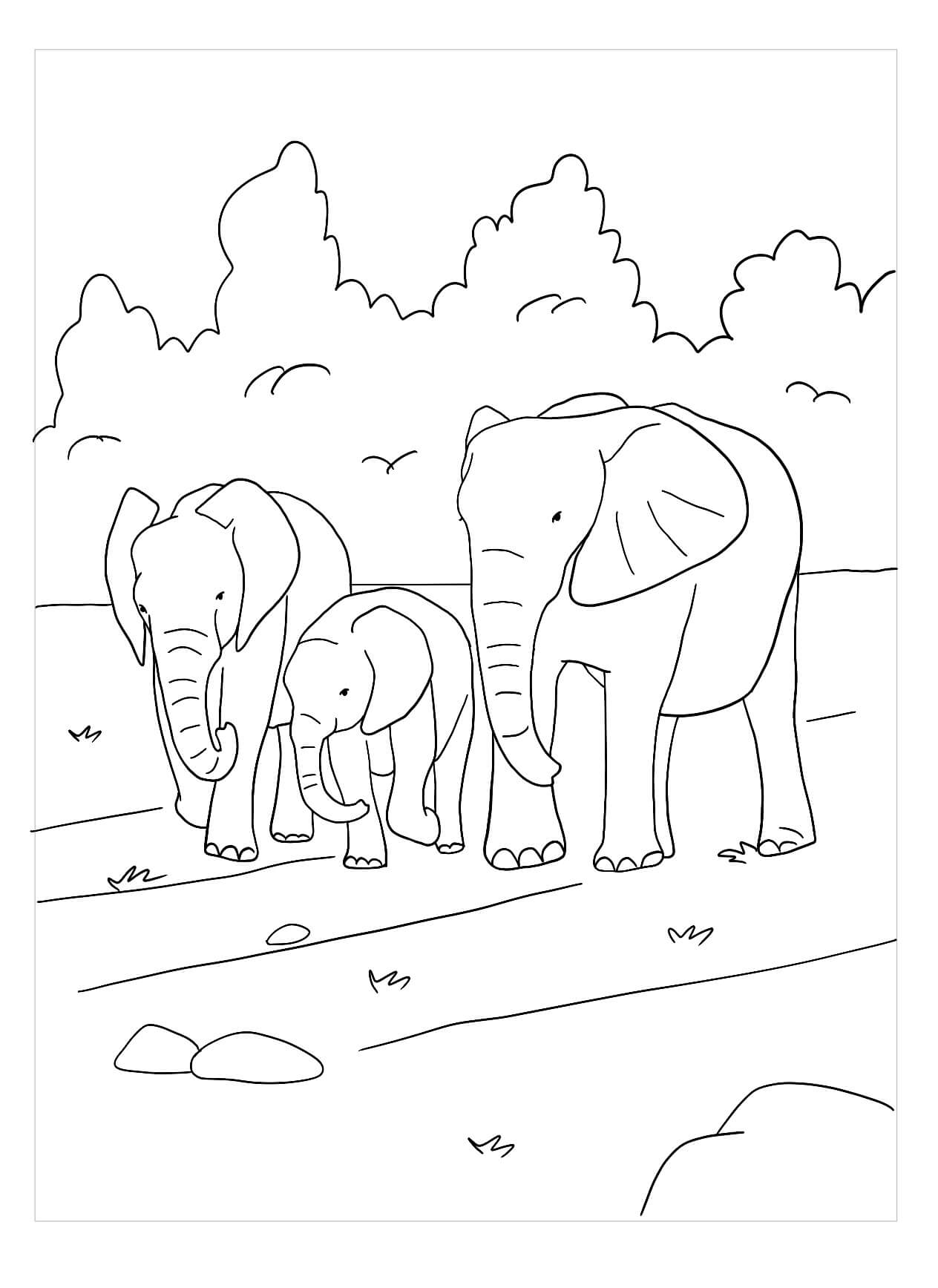 Familia de Elefantes
