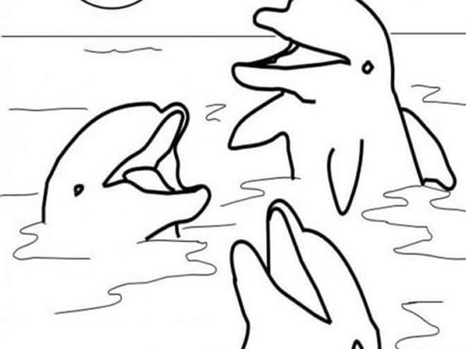 Felices tres Delfines