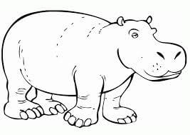 Gran Hipopotamo