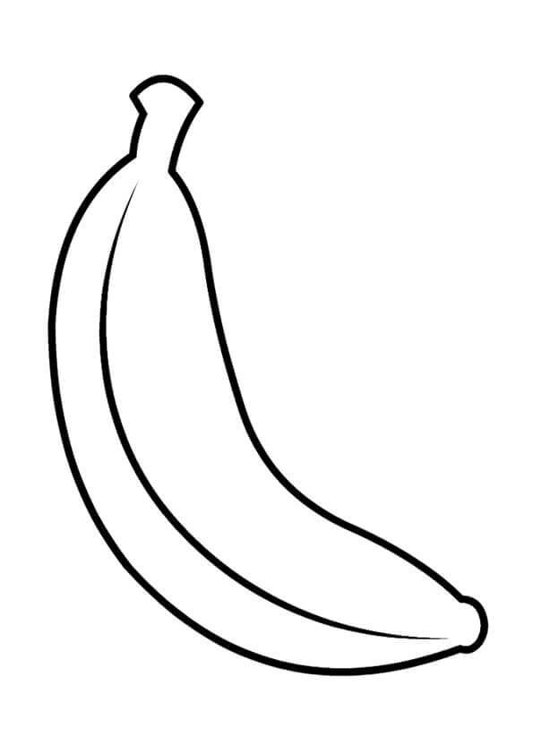 Gran Plátano