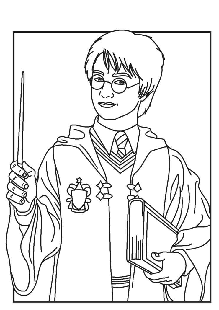 Harry Potter sosteniendo una Varita y un Libro