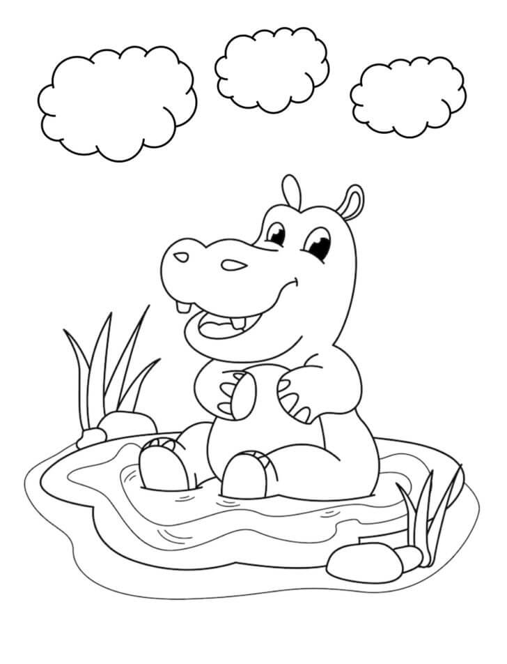 Hipopótamo Sentado en un Charco