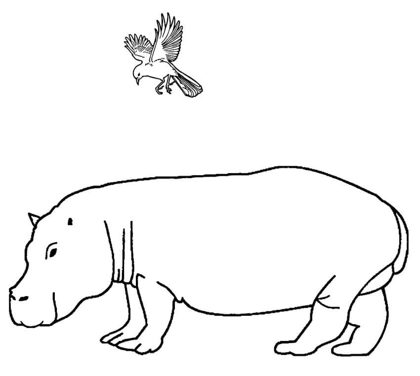 Hipopótamo y Pájaro