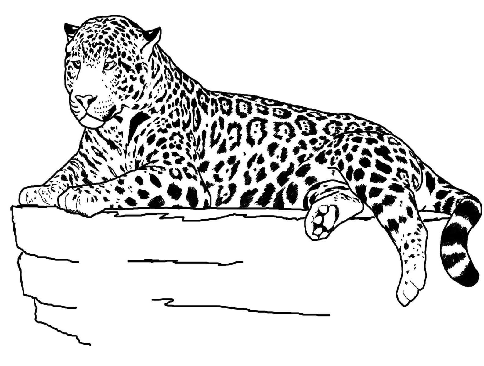 Jaguar Reclinable