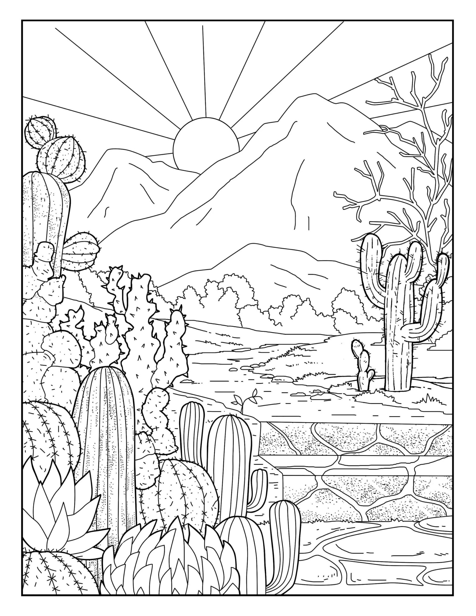 Jardín de Cactus y Sol