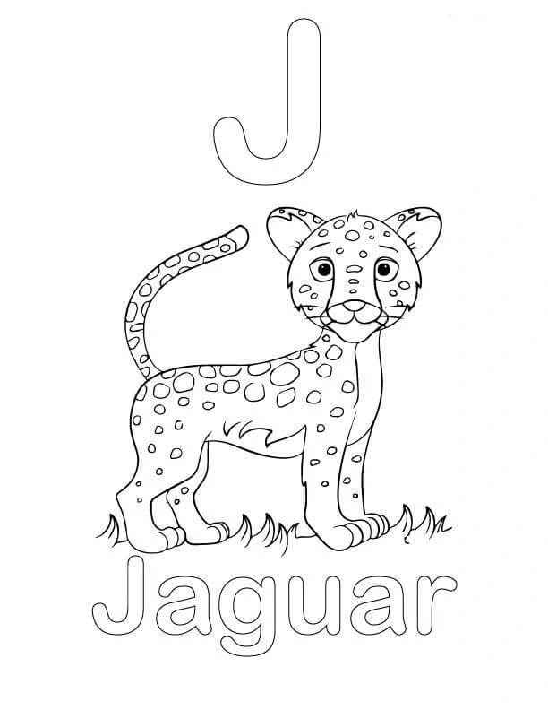 Letra J y Jaguar