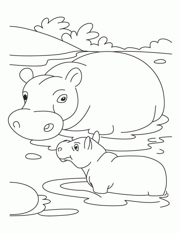 Linda Madre Hipopótamo y Bebé Hipopótamo