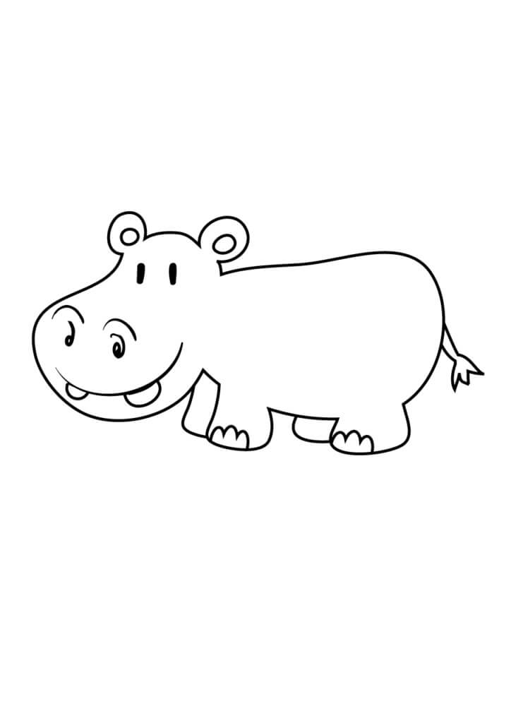 Lindo Hipopótamo Sonriente