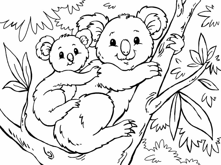 Madre Koala con Bebé Koala en el Árbol