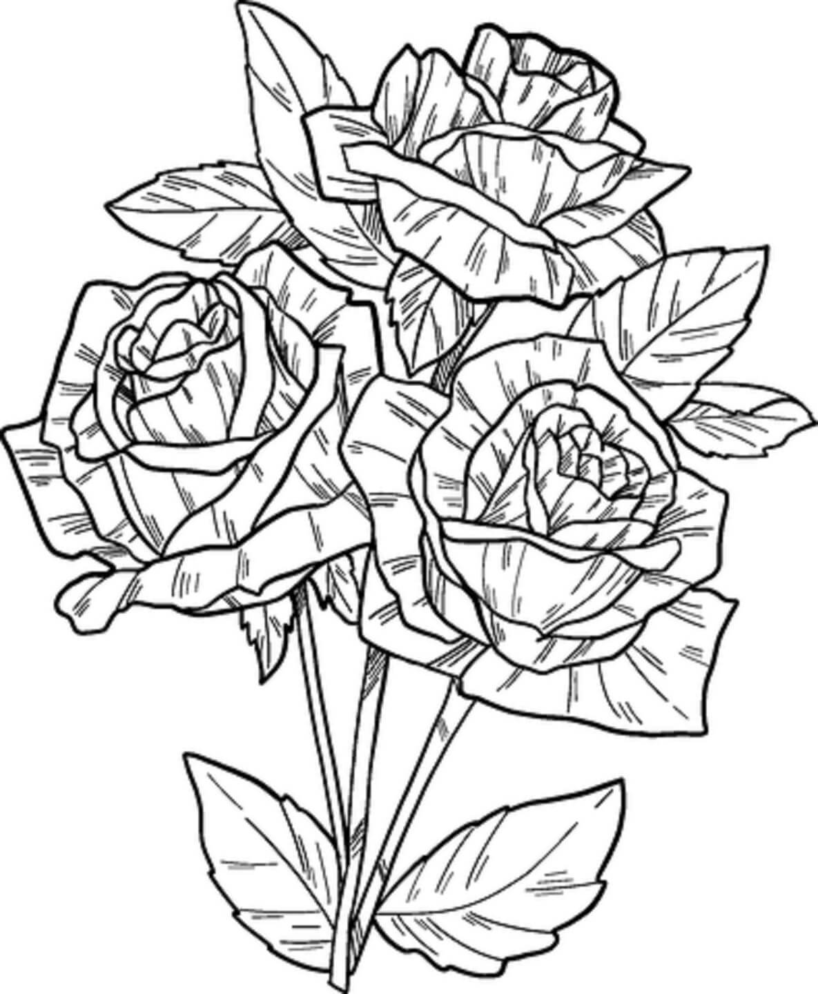Mano Dibujar Rosa