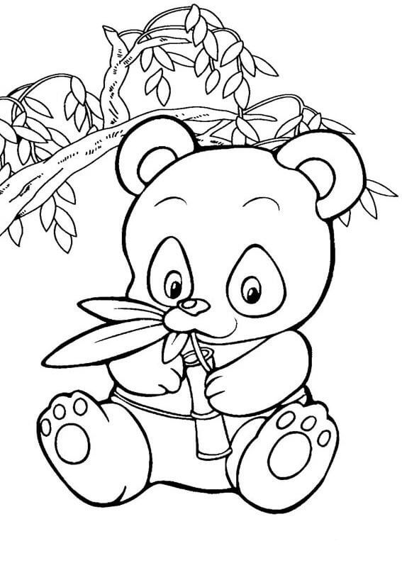 Pequeño Panda Comiendo Bambú con Árbol