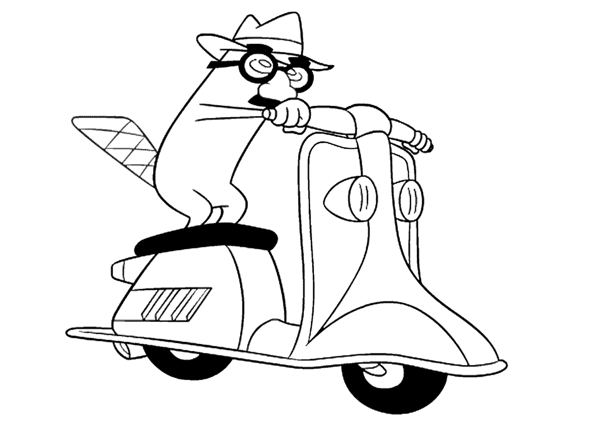 Perry Montando Motocicleta