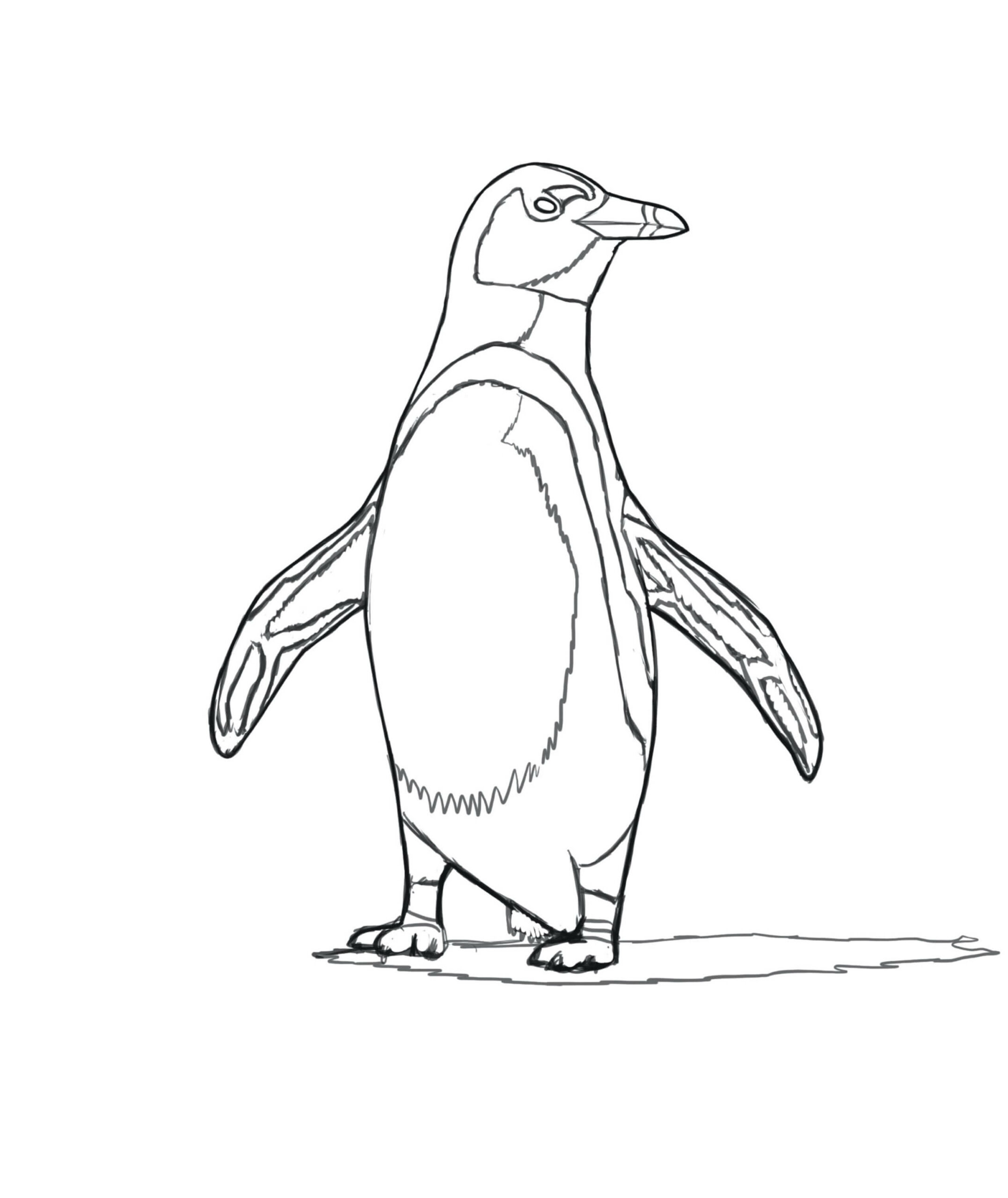 Pingüino Africano