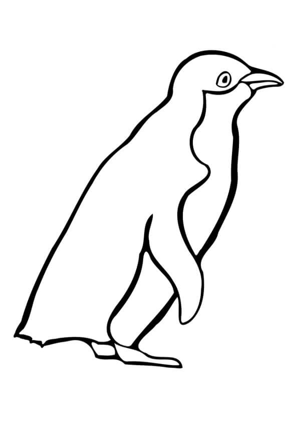 Pingüino de Dibujo Básico