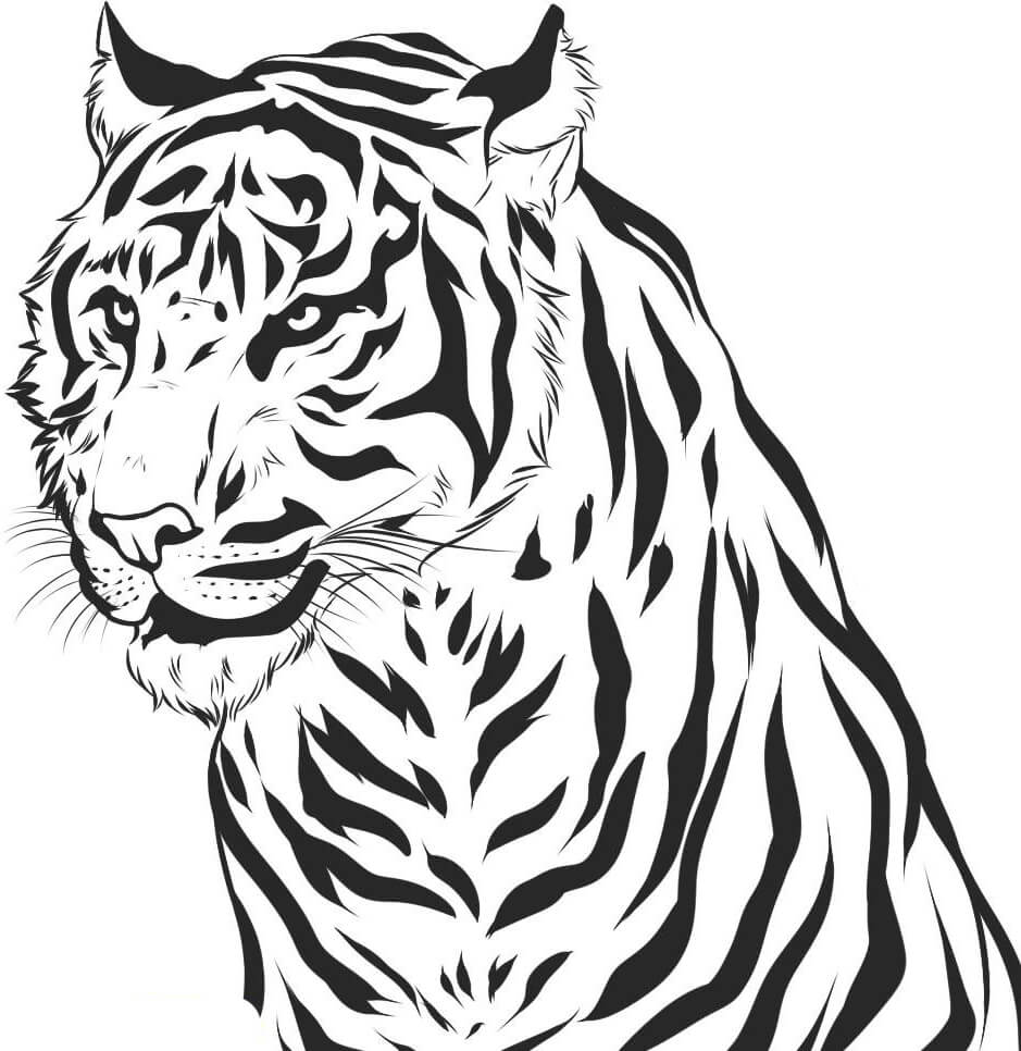 Retrato del Tigre