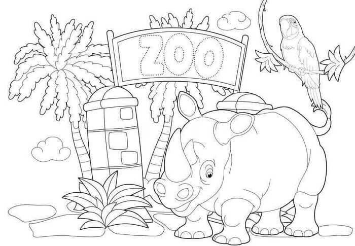 Rhino y Parrot están en el Zoológico