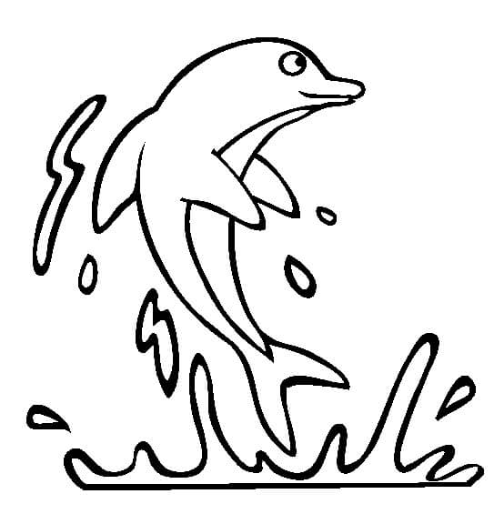 Salto de Delfín de Dibujo Básico