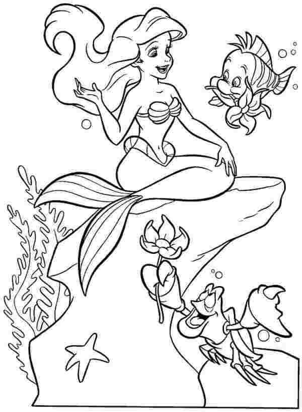Sirenita Ariel y Amigos