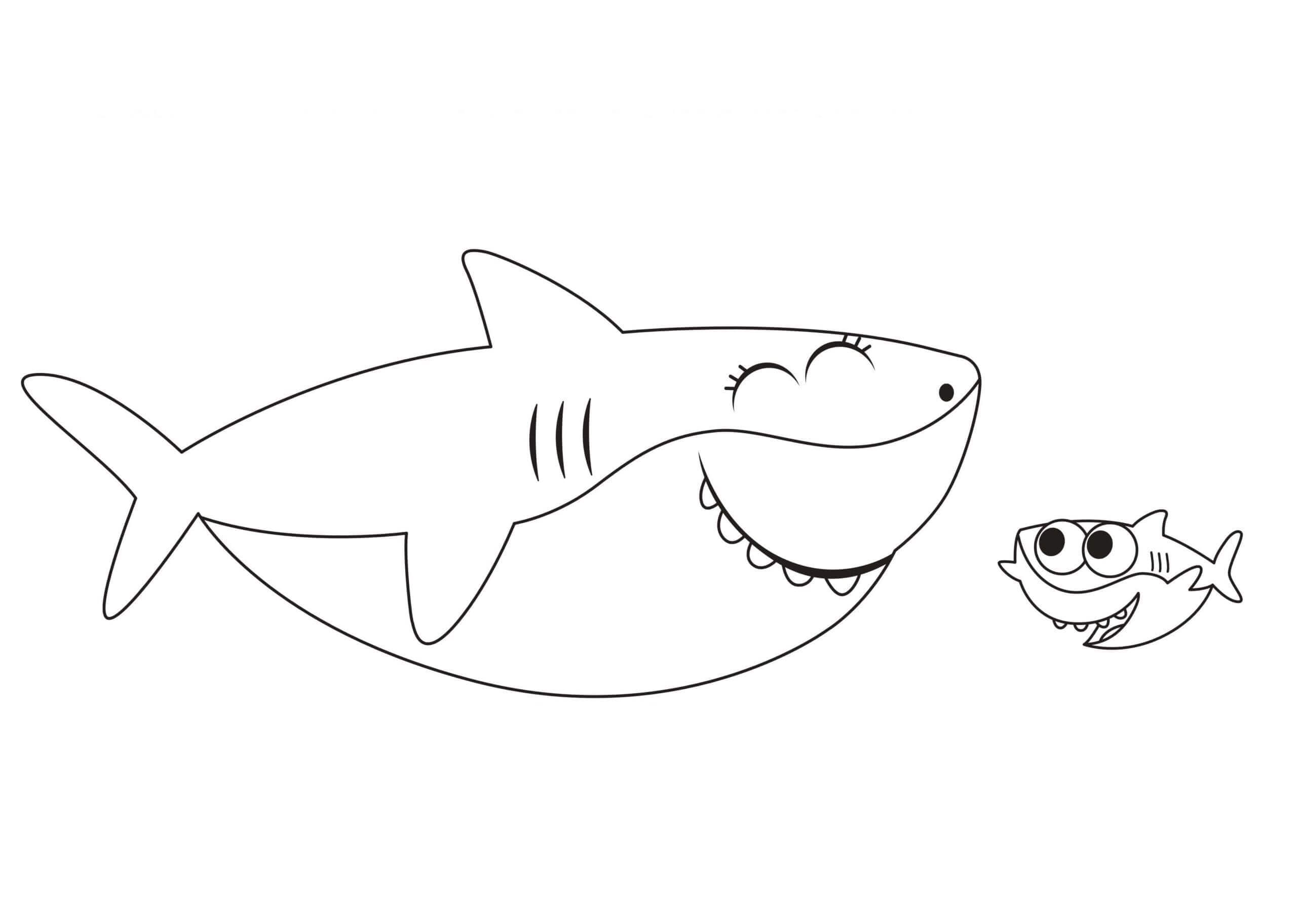 Tiburón Bebé y pez Esponjoso