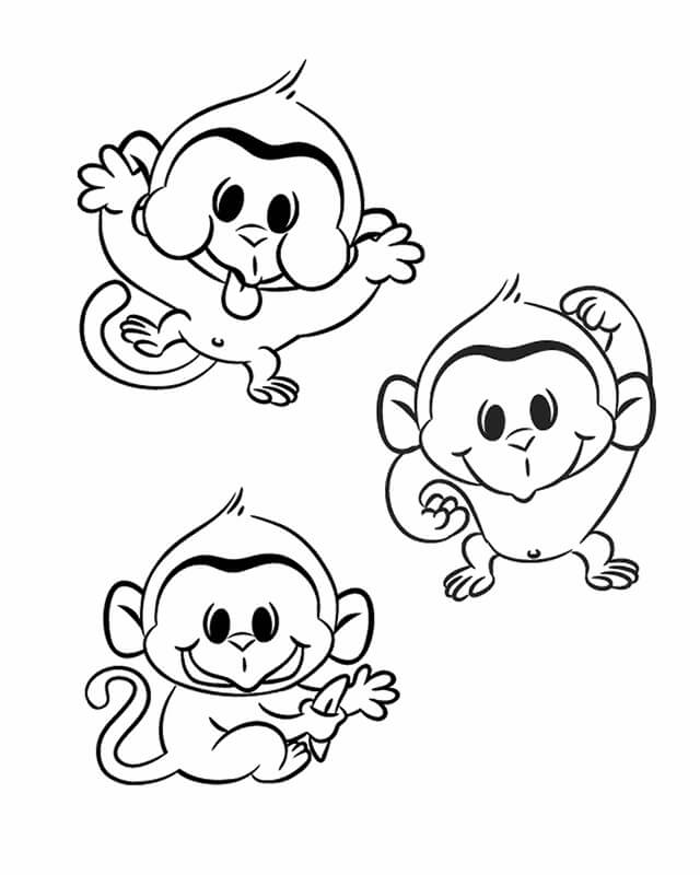 Tres monos Divertidos