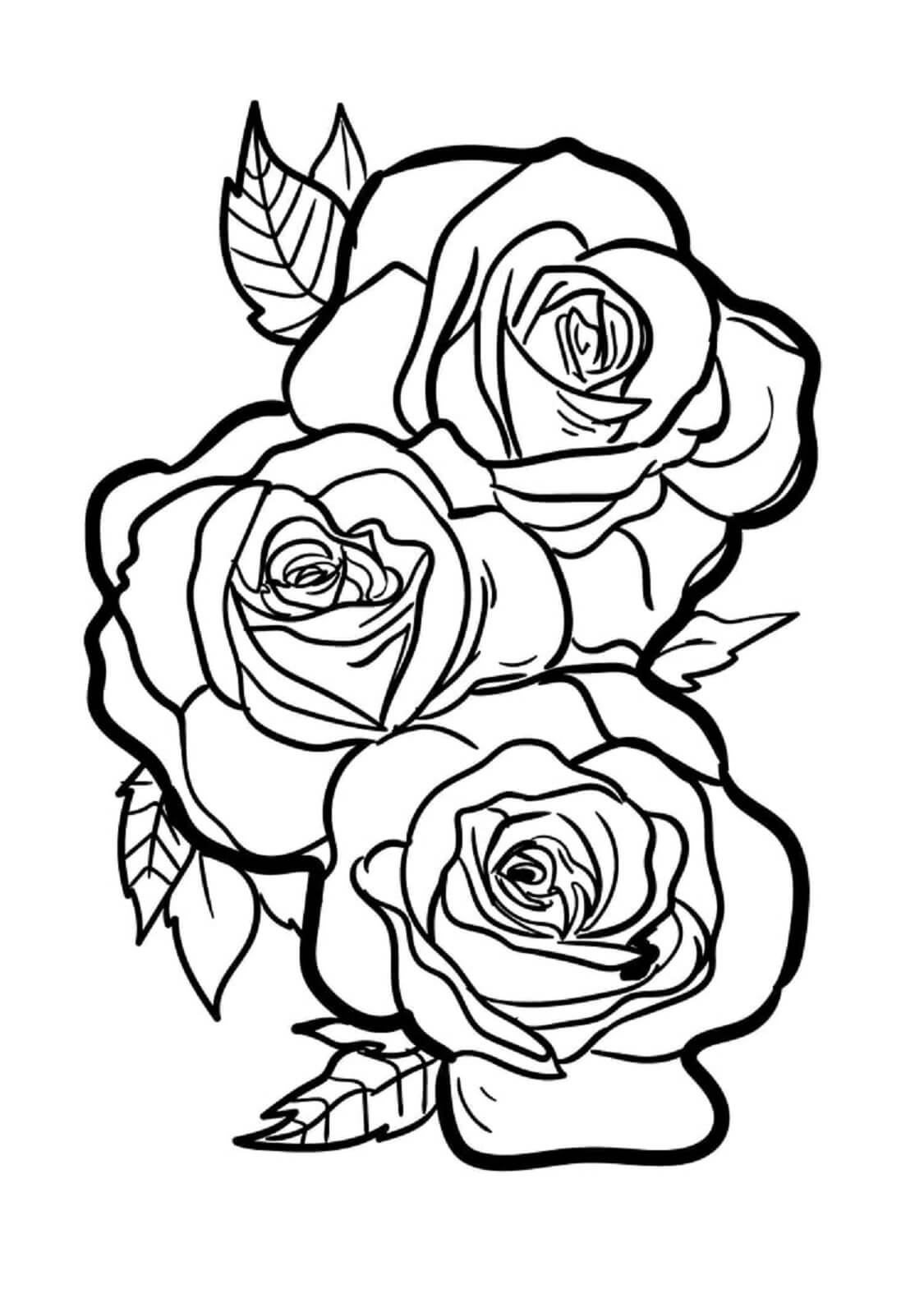 Tres Rosas