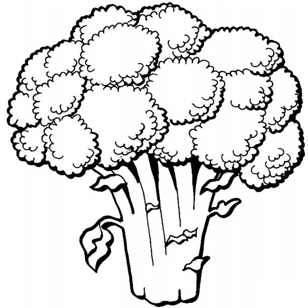 Un Brócoli