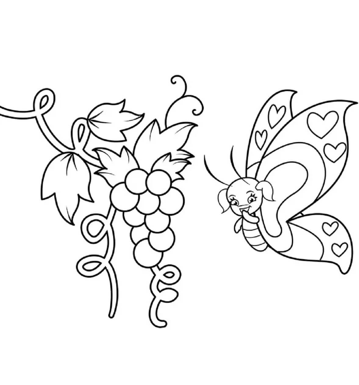 Uvas y Mariposa