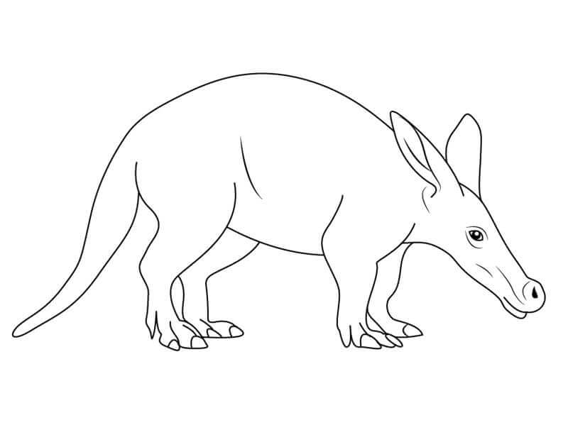Aardvark Normal