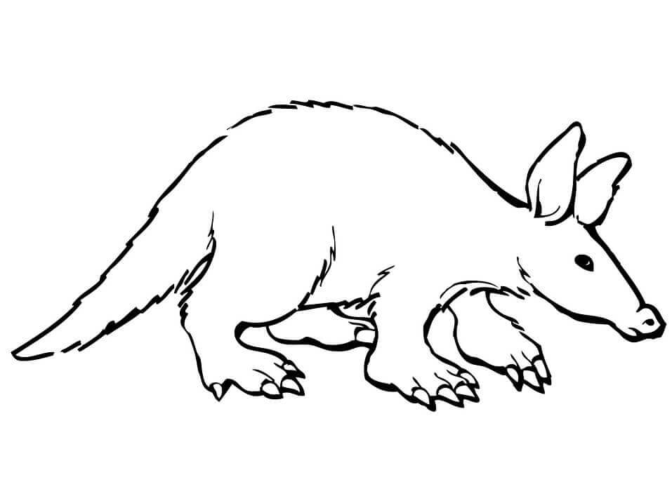 Aardvark Simple