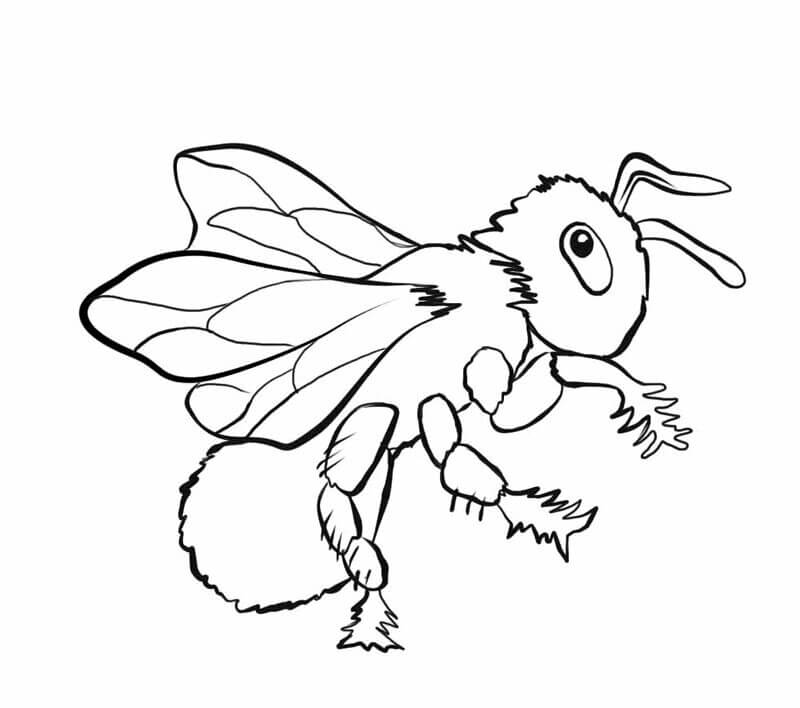 Abeja Fresca