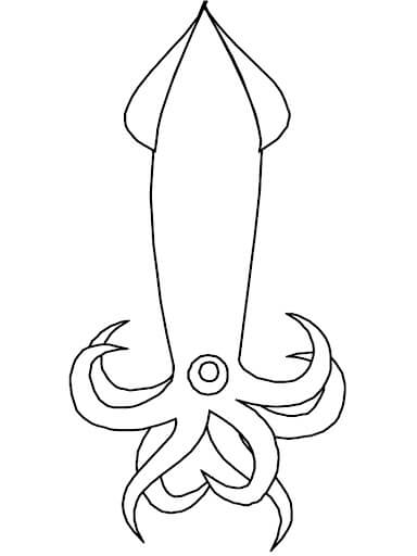 Adorable Calamar