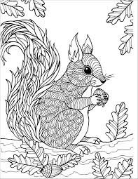 Ardilla Zentangle