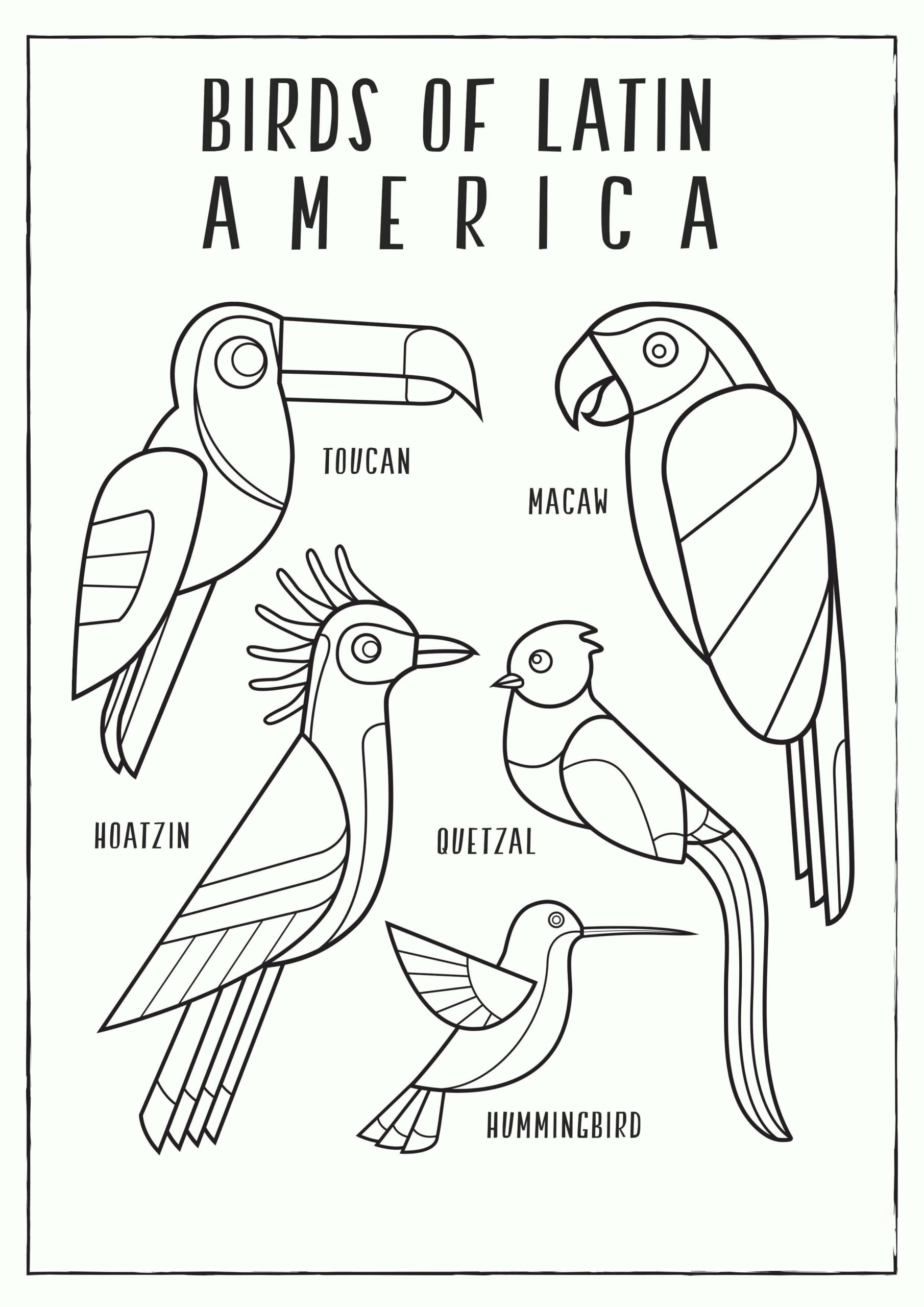 Aves de Latinoamerica