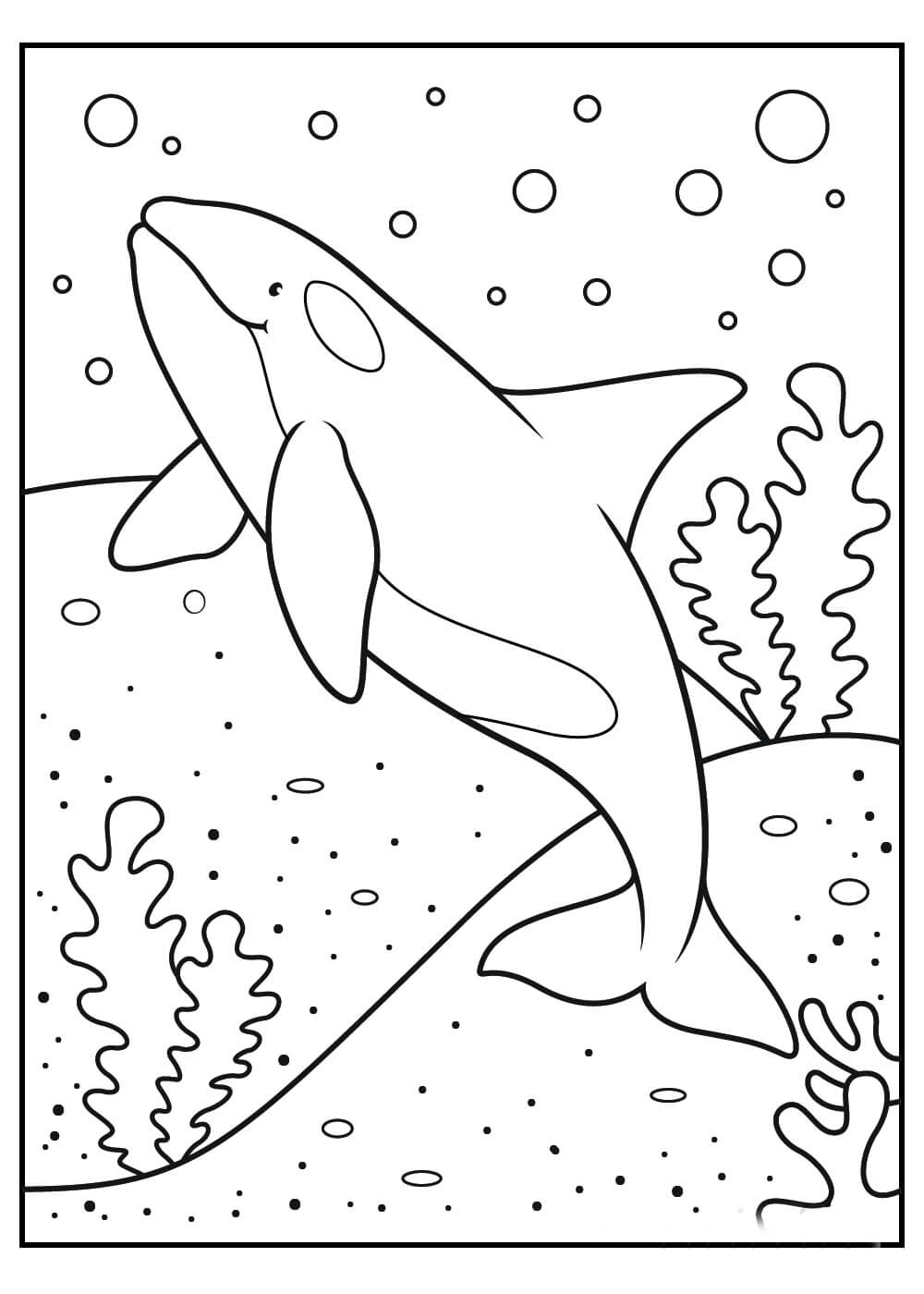 Dibujos De Ballena Para Colorear E Imprimir ColoringOnly Com