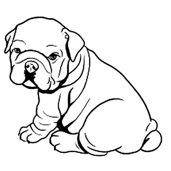 Dibujos de Bulldog para colorear e imprimir– 
