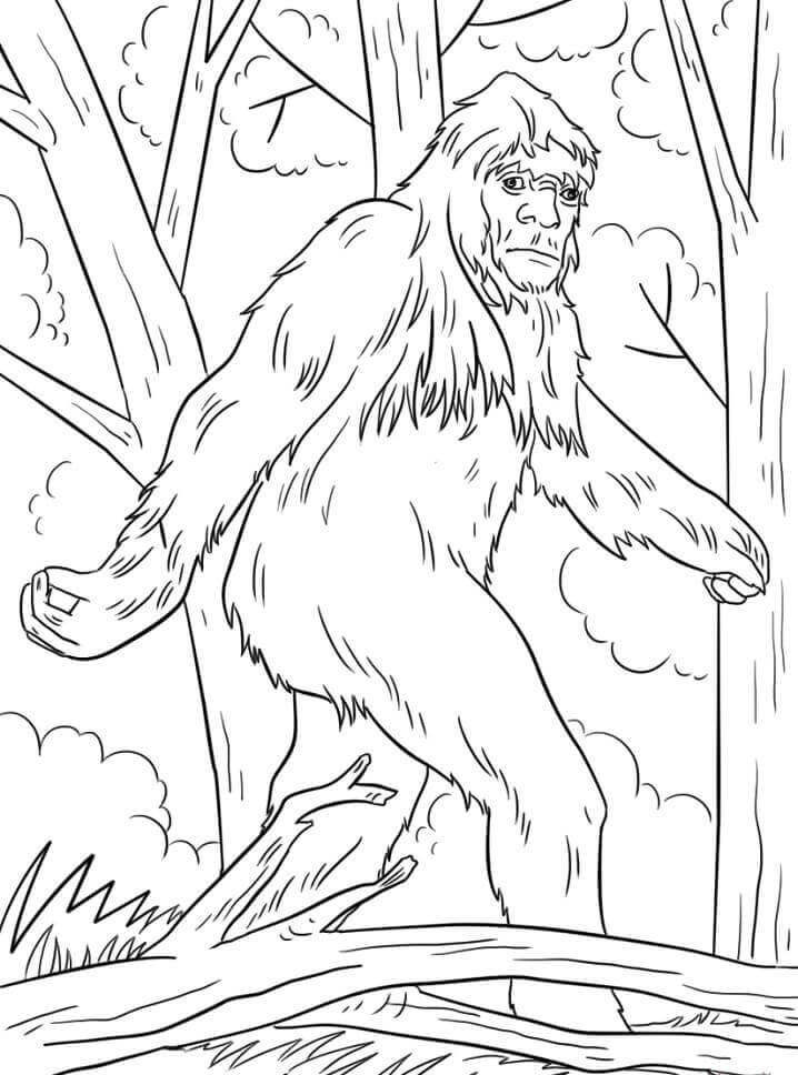Bigfoot Misterioso 3