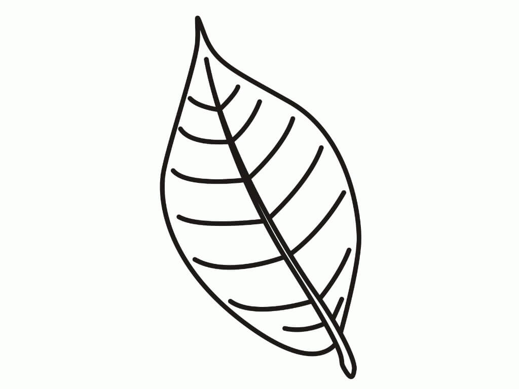 Dibujo De Hoja Para Colorear Imprimir E Dibujar ColoringOnly Com Dibujo De Hoja Para Colorear Imprimir E Dibujar ColoringOnly Com