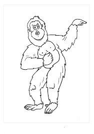 Bonito Orangután