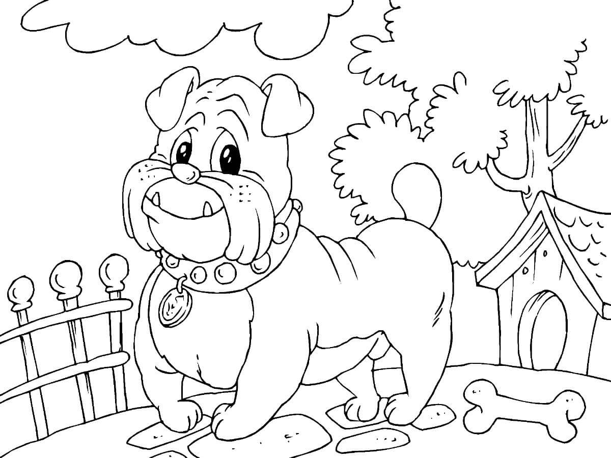 Bulldog de Dibujos Animados
