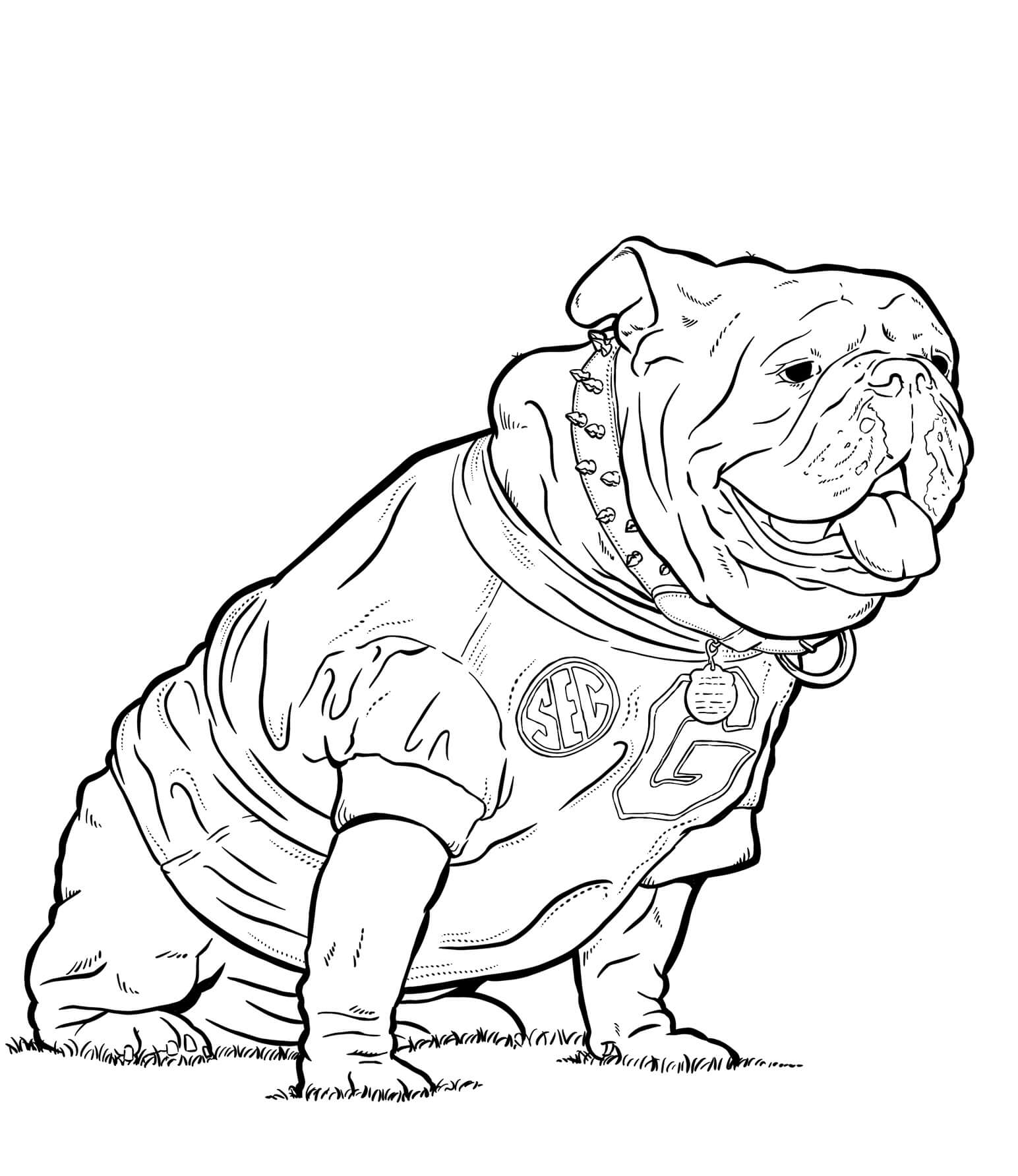 Bulldogs de Georgia