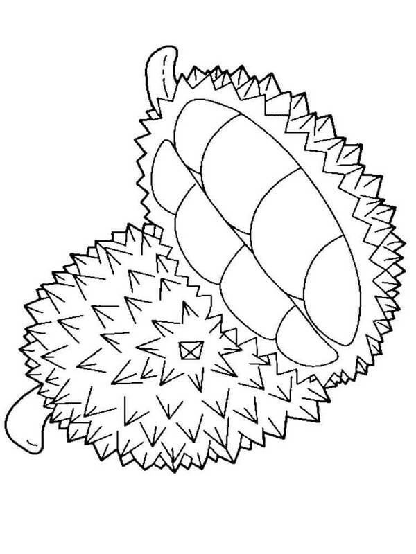 Básico A Durian y Mitad Durian