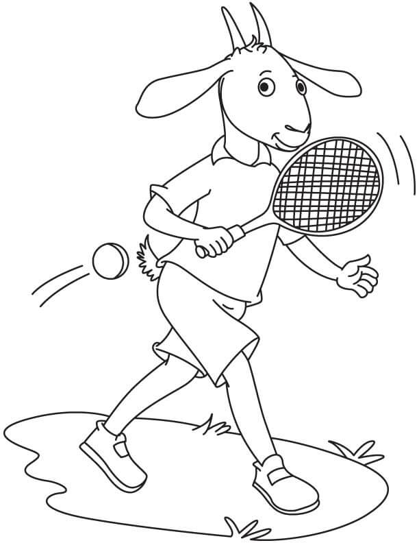 Cabra jugando al Tenis