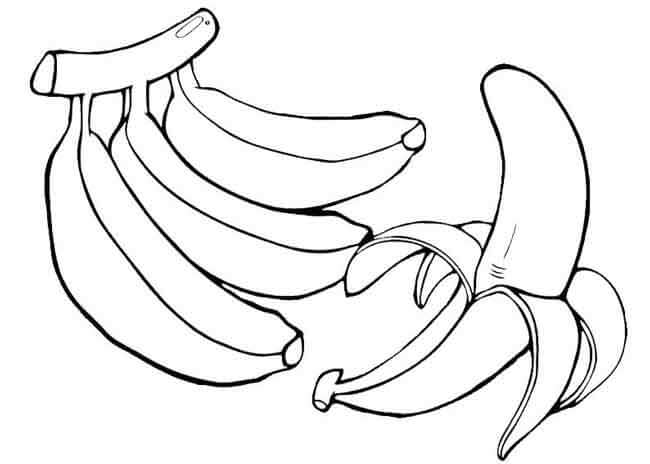 Cacho de Bananas e uma Banana Descascada