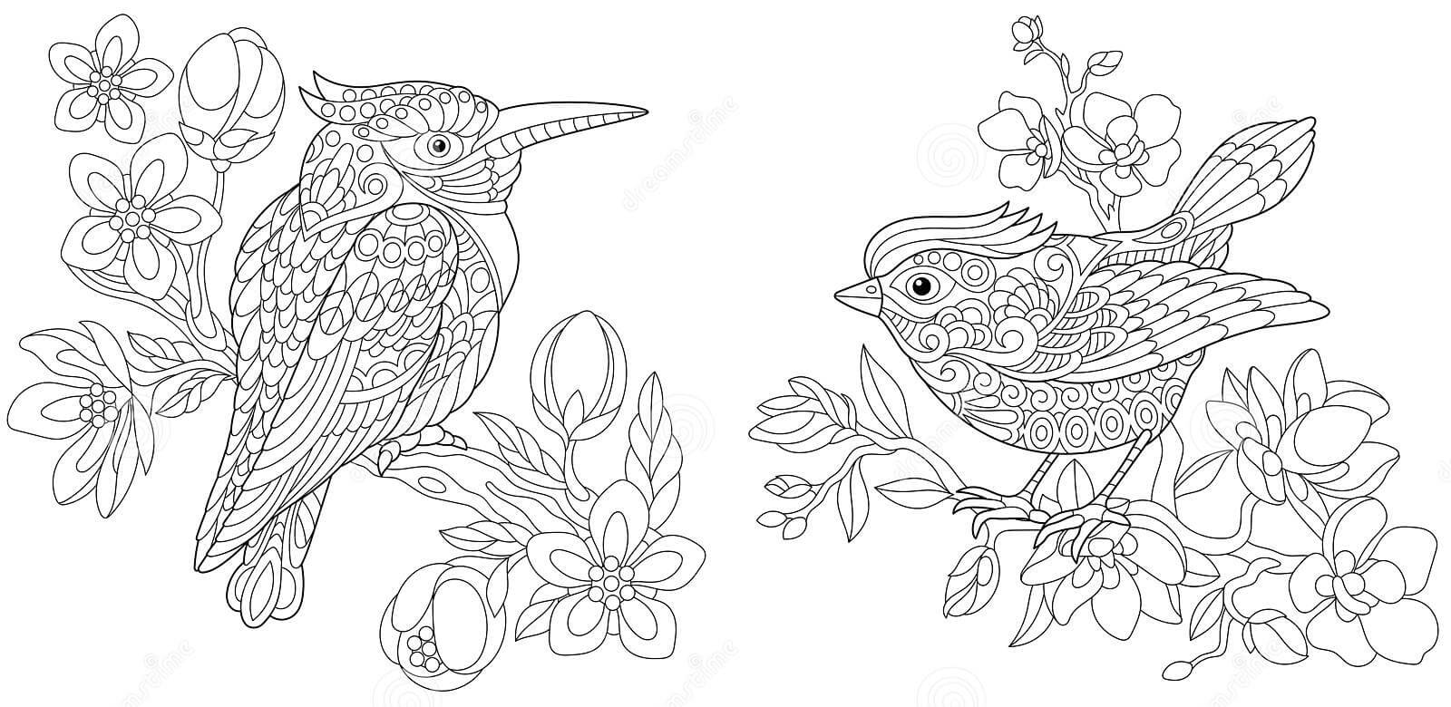 P jaro Canario Adulto Para Colorear Imprimir E Dibujar ColoringOnly Com P jaro Canario Adulto Para Colorear Imprimir E Dibujar ColoringOnly Com